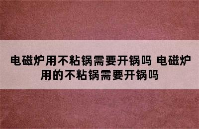 电磁炉用不粘锅需要开锅吗 电磁炉用的不粘锅需要开锅吗